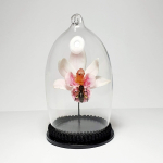 Natuur Historische Decoratie met 18k goud. Honingbij op orchidee